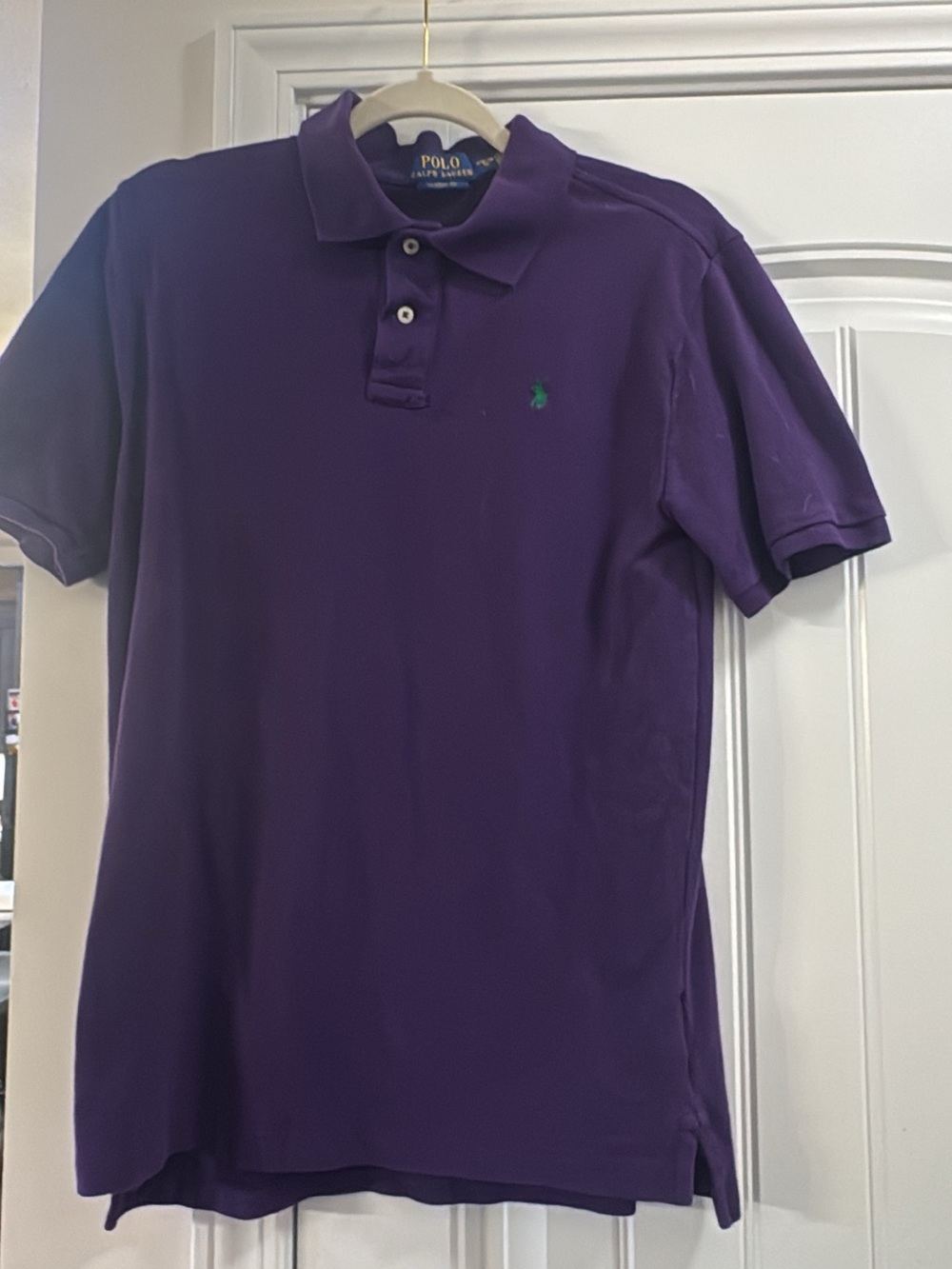 Polo by Ralph Lauren Purple Boy’s Polo with Green Pony